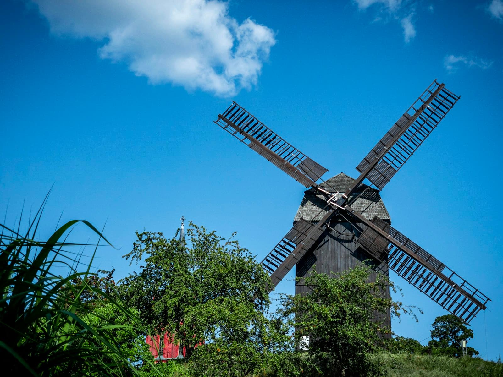 Historische Bockwindmühle hinter Bäumen vor blauem Himmel